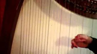 Road to Lisdoonvarna slow motion oefen-video harp