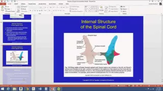 Chapter 13 Lecture Part 1 Spinal Region Anatomy and Function