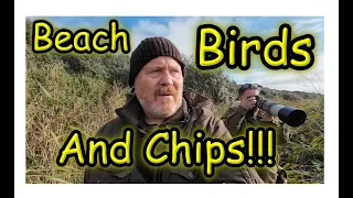 Beachcombing, Birds and Fish and Chips!