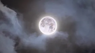 Moon Stock Footage | Full Moon | Eclipse | Night | Free HD Videos - no copyright