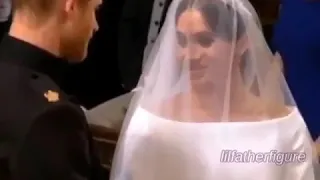 Royal wedding I object (Shrek)