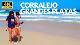 Strand in Corralejo auf Fuerteventura ☀️🌴 4K