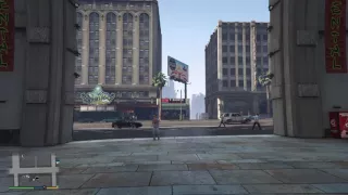 GTA V - First Person Settings