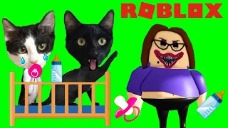 Gato escapa de la guardería de Suzie en Roblox jugando con Luna y Estrella / Gameplay en español