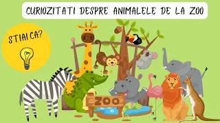 Curiozitati despre animalele salbatice de la Zoo | Stiai ca?  despre animale salbatice