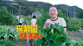 帶孩子去摘菜，一到菜園大家各忙各的，收穫多多 | Take the kids to the vegetable garden! Harvest a lot! They had a blast!