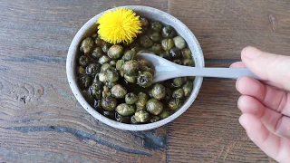 Dandelion capers