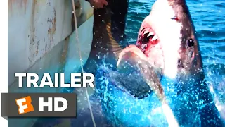 47 Meters Down: Uncaged Sneak Peek (2019) | Movieclips Indie