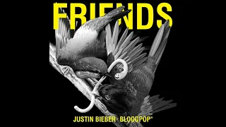 Justin Bieber & BloodPop® - Friends Official Instrumental