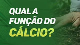 Qual a FUNÇÃO do CÁLCIO no SOLO e nas PLANTAS?