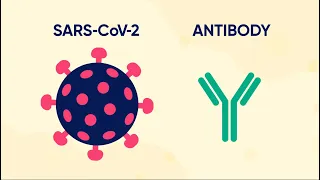 Monoclonal Antibody Therapy for COVID-19: What Is It and How Does It Work?