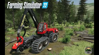 FS22🌲Logging🌲New Map🌲Komatsu 951🌲good weather,great forest🌲