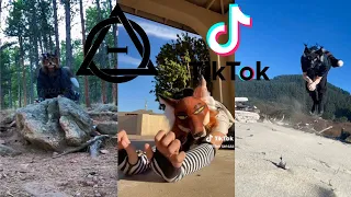 Therian and Quadrobics TikToks || Compilation 🐾🪱🪲|| Alterhumans of TikTok #72