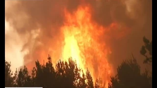 Найстрашніші за всю історію країни лісові пожежі вирують У Чилі