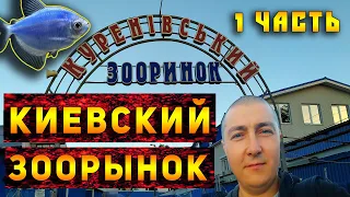 КУРЕНЕВСКИЙ ПТИЧИЙ РЫНОК В КИЕВЕ!