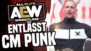 BREAKING NEWS: CM PUNK von AEW entlassen! ll (Deutsch/German) || Paraflow