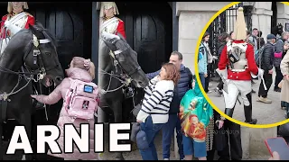 Arnie the NIPPY Horse and King’s Guard DEAL with these silly IDIOTS.