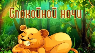 Самое нежное и приятное пожелание спокойной ночи!