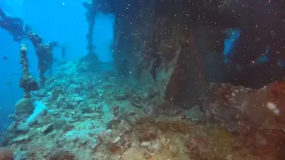 Palau Dive Day 2   IRO Wreck