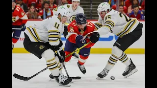 Reviewing Panthers vs Bruins Game Three