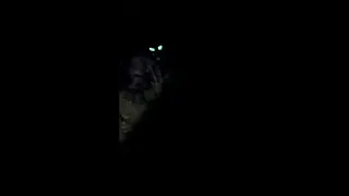 Dogman Werewolf caught on camera