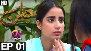 Jallan - EP 1 | Aplus | Saboor Ali, Imran Aslam, Waseem Abbas | C1D1