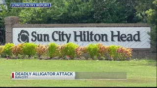Hilton Head woman killed in alligator attack