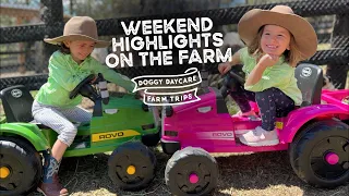 Weekend Highlights at the Farm - Kids on tractors, feeding animals, shelter dogs swimming in dam