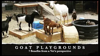 7 Benefits of Goat Playgrounds; VET EXPLAINS | Sez the Vet