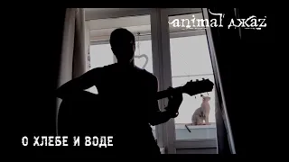 Animal ДжаZ — О хлебе и воде