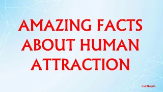 AMAZING FACTS ABOUT HUMAN ATTRACTION