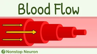 Blood Flow: Laminar vs Turbulent || Reynold's Number