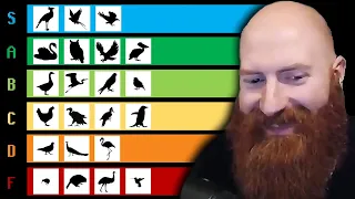 Xeno Reacts to The Bird Tier List by TierZoo