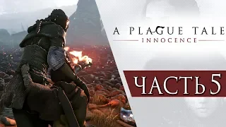 A Plague Tale: Innocence ● Прохождение #5 ● ОГРОМНОЕ ПОЛЕ БОЯ