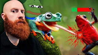 The Frog Tier List Reaction | Xeno Reacts to TierZoo