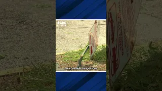 Cedar Park wakes to devastation following likely microburst #texas #cedarpark #highwinds