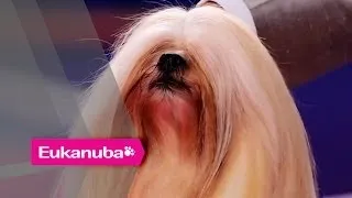 Eukanuba World Challenge Final - Part 1