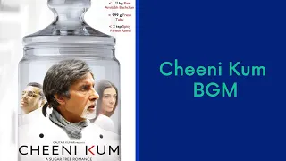 Cheeni Kum BGM | Ilayaraja BGM