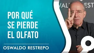 Por Qué Se Pierde El Olfato En Covid 19 - Oswaldo Restrepo RSC