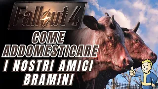 Fallout 4 Gameplay ITA- TUTORIAL - Addomestichiamo i Bramini