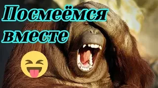 Посмеёмся вместе!