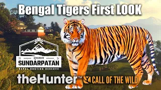 First LOOK At Bengal Tigers ALL Info & Rare Furs - theHunter Call Of The Wild