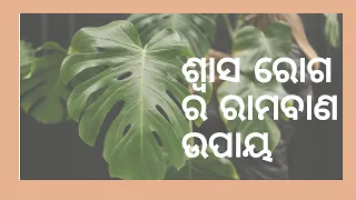 Ayurveda for Asthma. ଶ୍ୱାସ ରୋଗ ପାଇଁ ଘରୋଇ ଉପଚାର