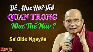 Đề Mục Hơi Thở Quan Trọng Như Thế Nào ? | Sư Giác Nguyên | Sư Toại Khanh