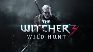 The Witcher 3 - Wild Hunt - #15 - Чтение книг, поиск снаряжения - прохождение стрим