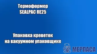 Упаковка креветок на вакуумном упаковщике.  Термоформер SEALPAC RE25