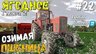 FarmingSimulator22 село ЯГОДНОЕ | Озимая ПШЕНИЦА @22 | Глава вторая | Приключения деда Фёдора | FS22