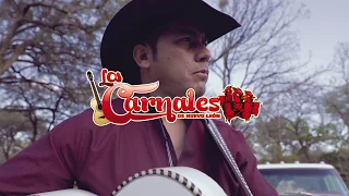 Los Carnales de Nuevo León - Mi cómplice (Video Lyric)