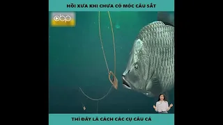 Cách Làm Lưỡi Câu Cá Bằng Tre Cực Kỳ Đặc Biệt // Review Phim Sinh Tồn