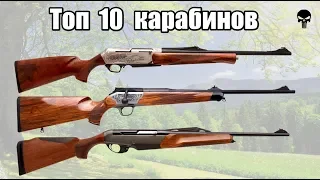 Топ 10 лучших винтовок и карабинов для охоты